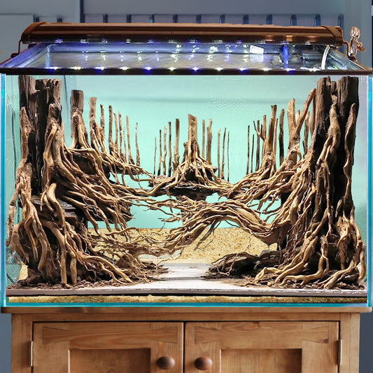 Driftwood aquarium aquascape bonsai aquascaping hardscape rocks real fish tank decor