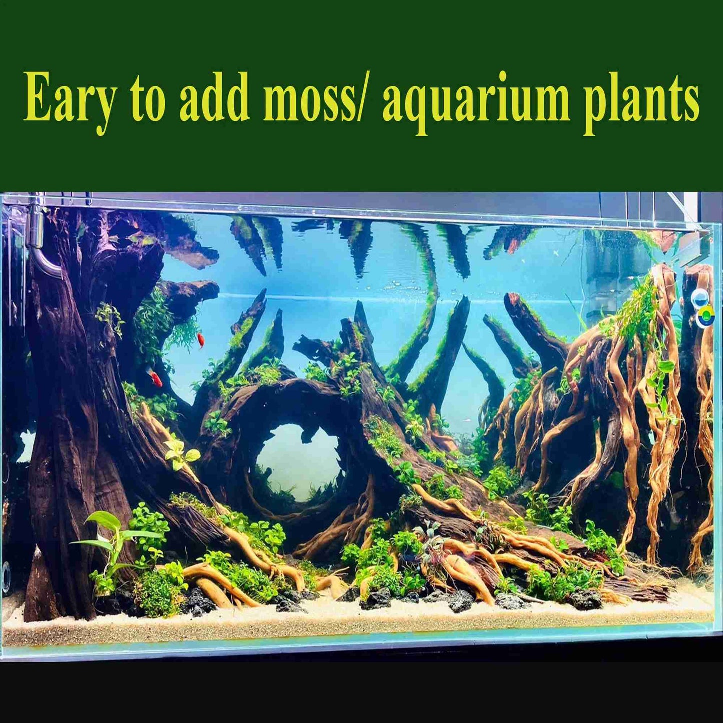 Aquascape aquarium driftwood bonsai hardscape drift wood fish tank plants