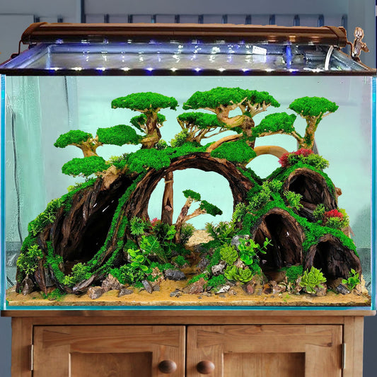 Aquascape aquarium driftwood bonsai moss hardscape aquascaping rocks real fish tank decorations