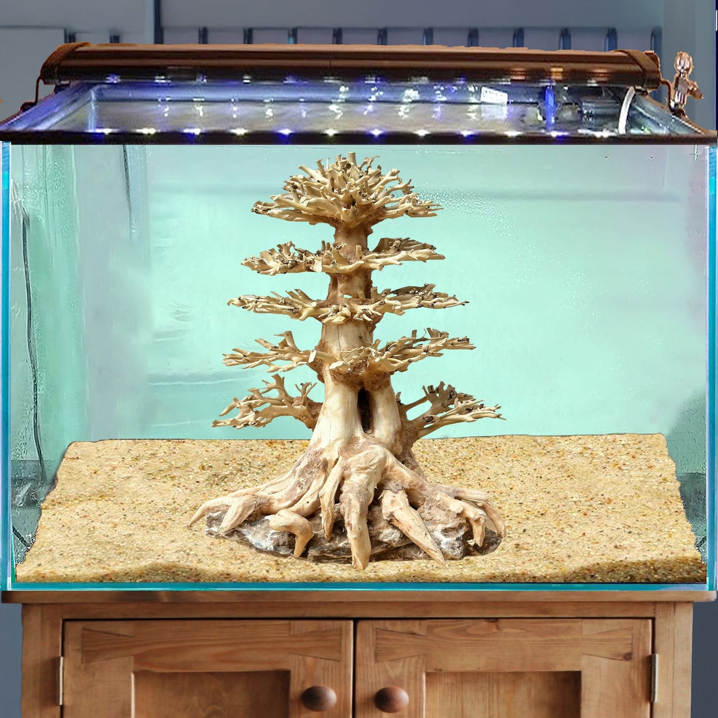 Bonsai driftwood aquarium aquascape wood real hardscape fish tank decorations