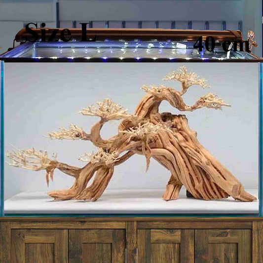 Large bonsai driftwood aquascape hardscape wood for fish tank decoration