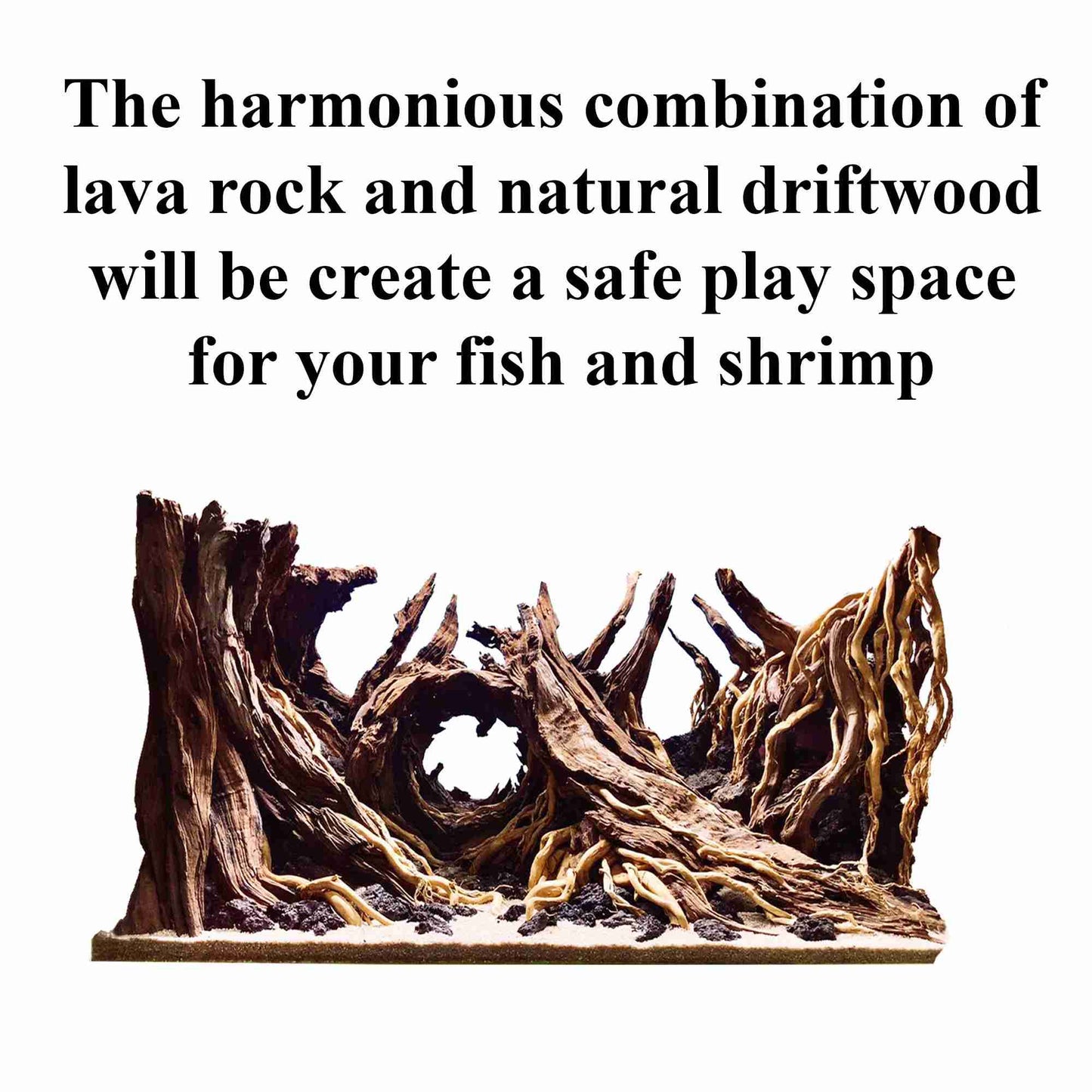 Aquascape aquarium driftwood bonsai hardscape drift wood fish tank plants