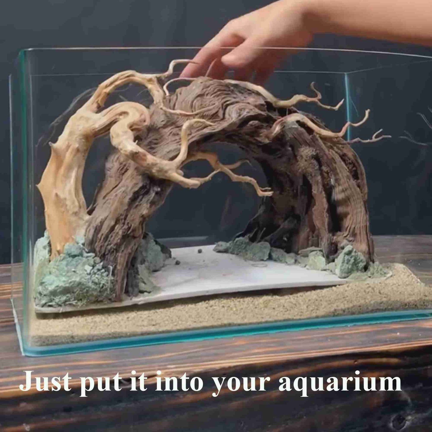 Bonsai driftwood aquascape aquarium rock cave hardscape fish tank decor