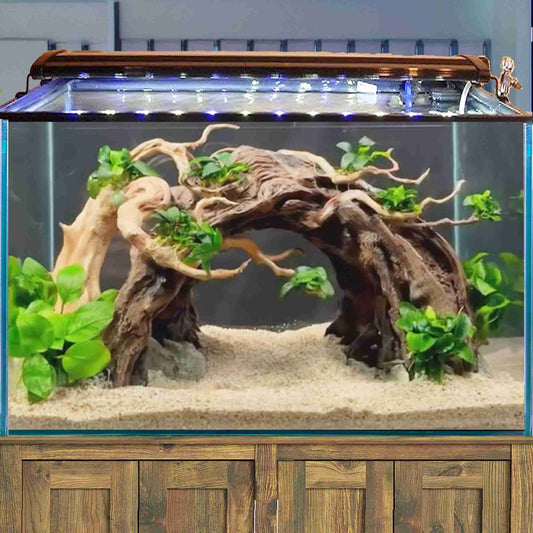 Bonsai driftwood aquascape aquarium rock cave hardscape fish tank decor