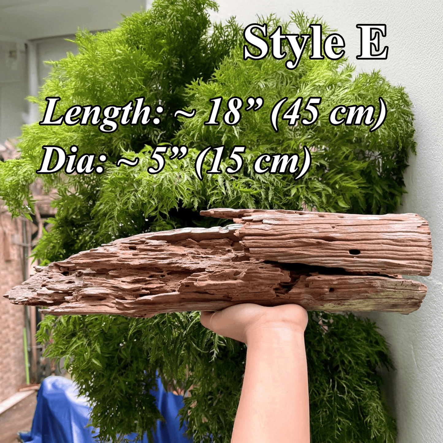 Aquarium driftwood log natural reptile drift wood stump bonsai aquascaping hardscape real wood for fish tank decor