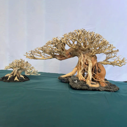 Handmade Bonsai driftwood for aquarium decor