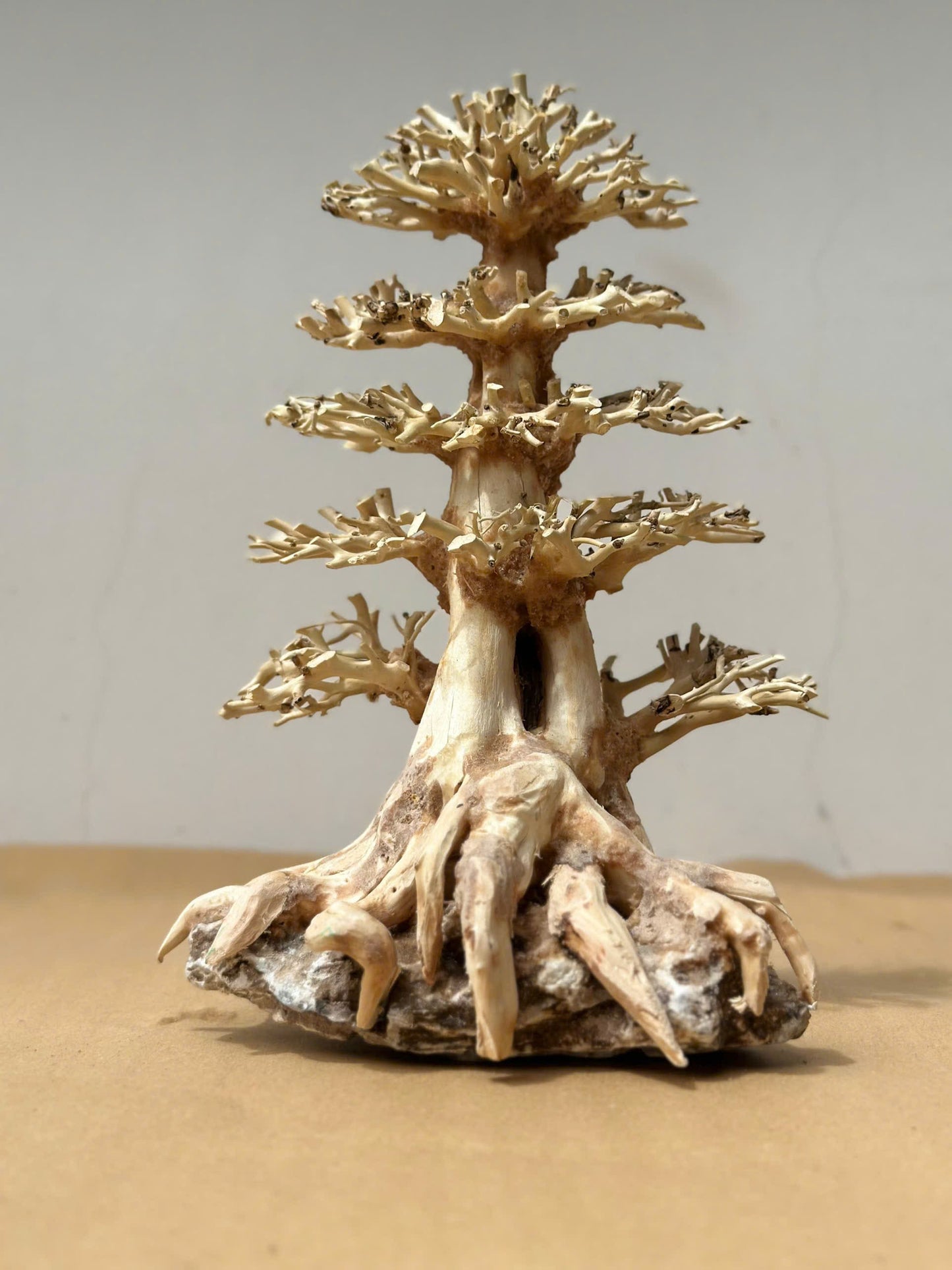 Bonsai driftwood aquarium aquascape wood real hardscape fish tank decorations