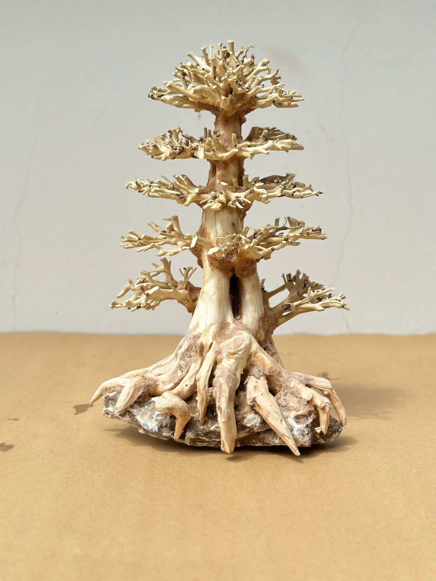 Bonsai driftwood aquarium aquascape wood real hardscape fish tank decorations