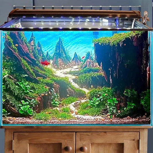 Aquascape driftwood hardscape centerpiece natural drift wood aquascaping fish tank decoration